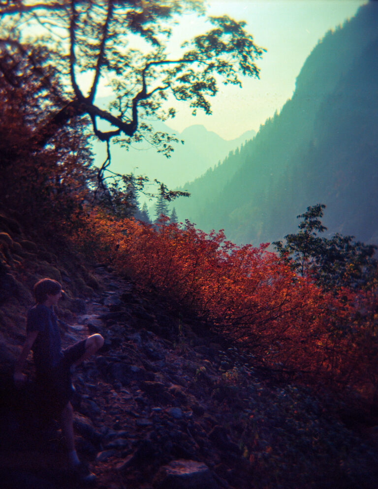 Holga of the trail at Percy Creek in the North Cascades of Washington